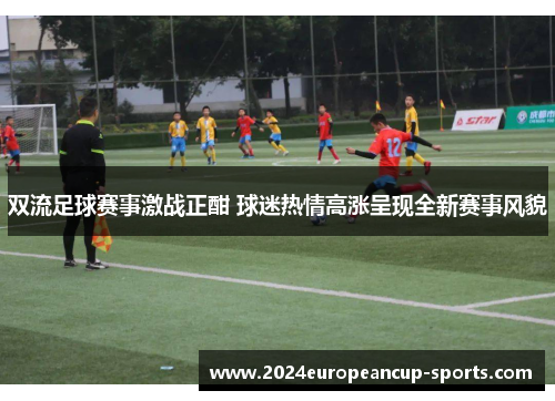 双流足球赛事激战正酣 球迷热情高涨呈现全新赛事风貌